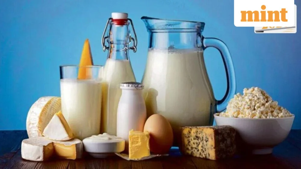 India’s Dairy Export Transformation: A 2026 Horizon for Global Market Integration