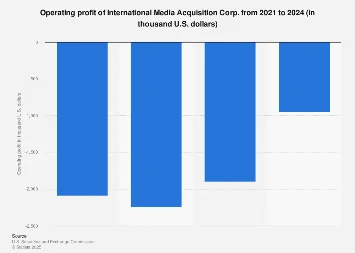 International Media Acquisition Corp. Charts Course for Profitability Amidst Evolving Market Landscape