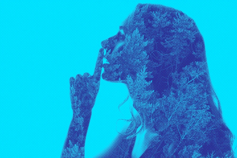 Beyond Greenhushing: The Nuanced Imperative of Authentic Sustainability Communication in the Global Economy.