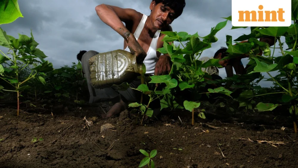 India Unveils Sweeping Seed Innovation Strategy to Propel Agricultural Productivity and Secure Future Food Supply.