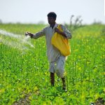 India’s Agricultural Crossroads: Reassessing the Pursuit of Fertilizer Self-Reliance Amid Surging Imports and Subsidy Burdens