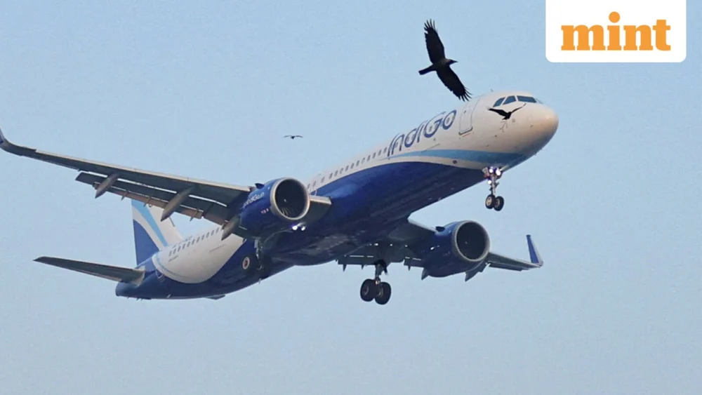 IndiGo tops Airbus deliveries for second year in a row