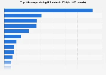 The American Apiary Landscape: Key States Dominating National Honey Production