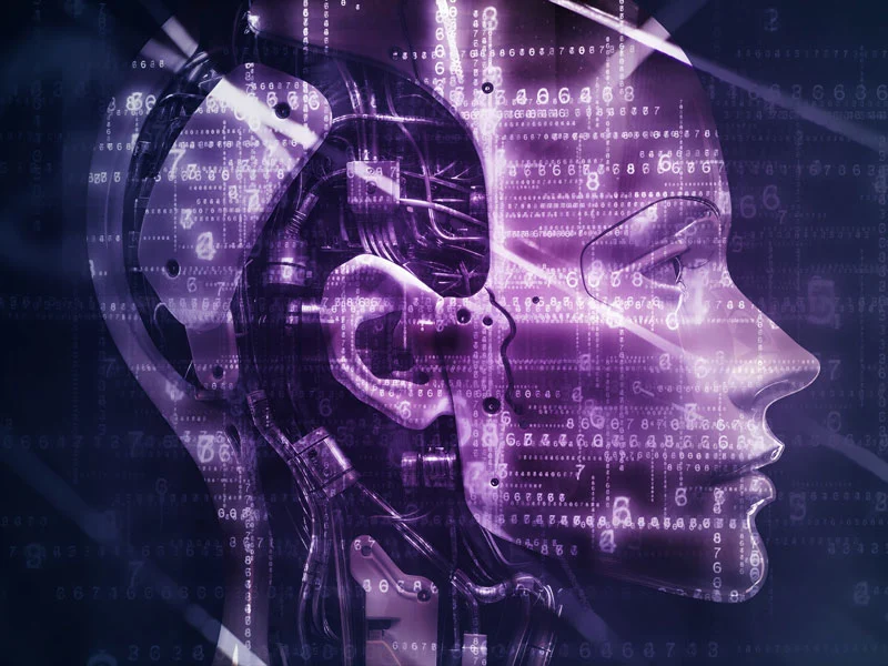 The Dual Frontiers of Artificial General Intelligence: From Language Models to Brain Emulation