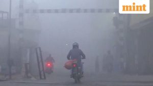 Winter’s Economic Chill: India Navigates Prolonged Cold Wave with an Eye on Agricultural Resilience and Energy Demands