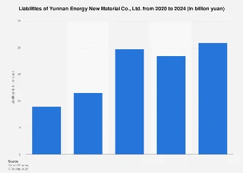 Yunnan Energy New Material Co., Ltd.: Navigating a Shifting Landscape of Corporate Indebtedness in 2024