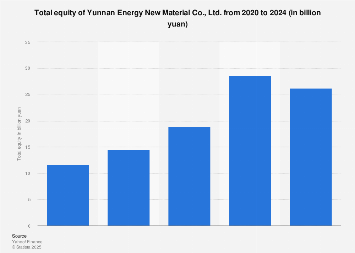 Yunnan Energy New Material Co., Ltd.’s Evolving Equity Landscape: A Deep Dive into Financial Fortunes