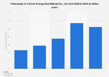 Yunnan Energy New Material’s Equity Landscape in 2024: Navigating a Dynamic Sector