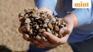 India Forges Dual Path to Critical Mineral Security: Bilateral Brazil Pact Bolsters Multilateral Pax Silica Strategy