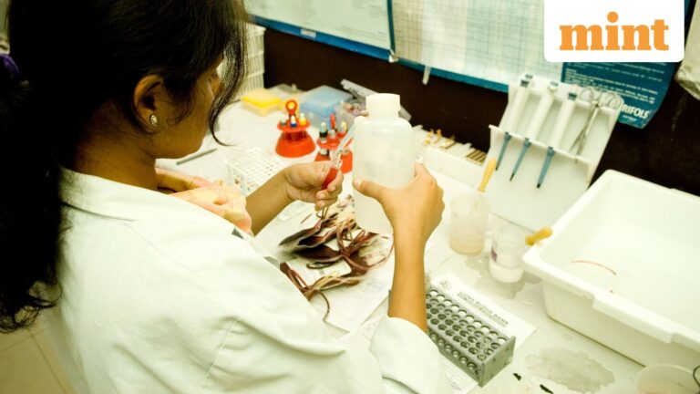 India Overhauls Blood Banking Sector to Combat Commercial Rackets and Enhance Transfusion Safety.