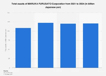MARUKA FURUSATO Corporation’s Financial Fortunes: A Deep Dive into 2024 Asset Valuation
