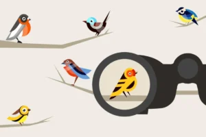 Unpacking the AI Startup Ecosystem: A Strategic Taxonomy for Navigating Innovation and Investment