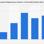 Huayou Cobalt’s Profitability Picture: A Deep Dive into 2024 Financial Performance
