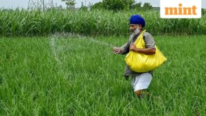 India’s Agrarian Conundrum: Cultivating Self-Reliance Amidst Persistent Fertilizer Import Dependence