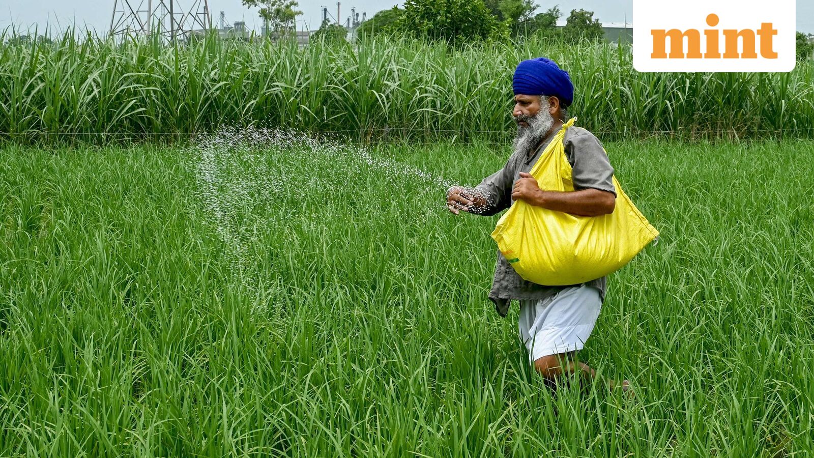 India’s Agrarian Conundrum: Cultivating Self-Reliance Amidst Persistent Fertilizer Import Dependence