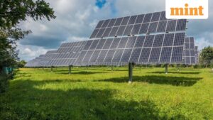 India’s Solar Ascent Faces Financial Headwinds as Banks Rethink Exposure Amid Overcapacity and Trade Wars