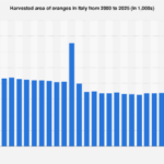 Italy’s Citrus Sector Faces Shifting Cultivation Landscape as Orange Acreage Evolves