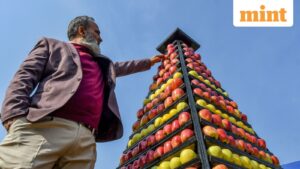 Kashmir’s Apple Industry Confronts Existential Climate Threat Amidst Unprecedented Winter Drought