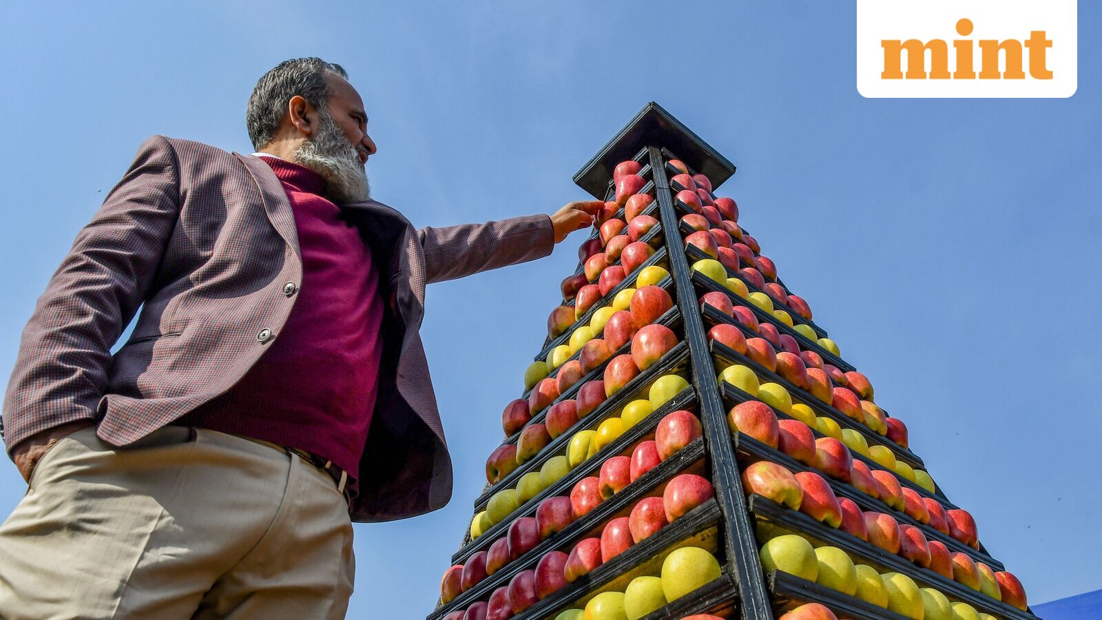 Kashmir’s Apple Industry Confronts Existential Climate Threat Amidst Unprecedented Winter Drought