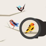 Navigating the AI Frontier: A Strategic Typology for Startups and Their Ecosystem