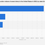 Navigating the Landscape of U.S. Sweet Cherry Production: A Deep Dive into State-Level Yields and Market Dynamics
