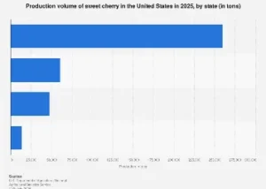 Navigating the Landscape of U.S. Sweet Cherry Production: A Deep Dive into State-Level Yields and Market Dynamics