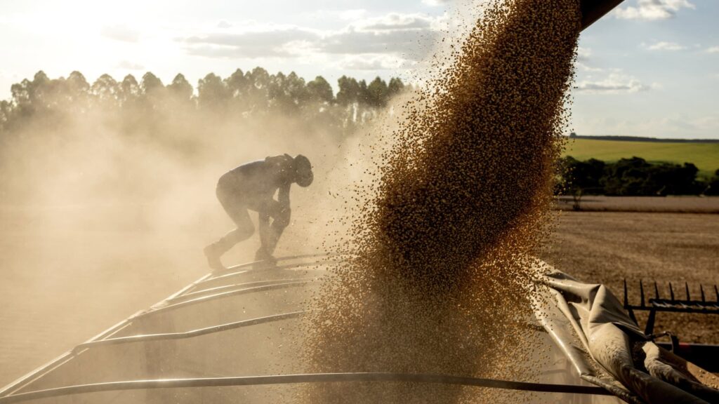 Navigating the Narrow Pass: The Escalating Risk to Middle Eastern Food Security via the Strait of Hormuz