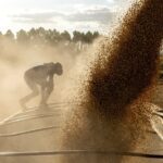 Navigating the Narrow Pass: The Escalating Risk to Middle Eastern Food Security via the Strait of Hormuz