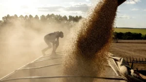 Navigating the Narrow Pass: The Escalating Risk to Middle Eastern Food Security via the Strait of Hormuz