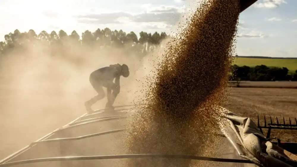 Navigating the Narrow Pass: The Escalating Risk to Middle Eastern Food Security via the Strait of Hormuz