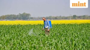 The Geopolitical Fault Lines: Reshaping Global Fertilizer Supply and India’s Agrarian Future