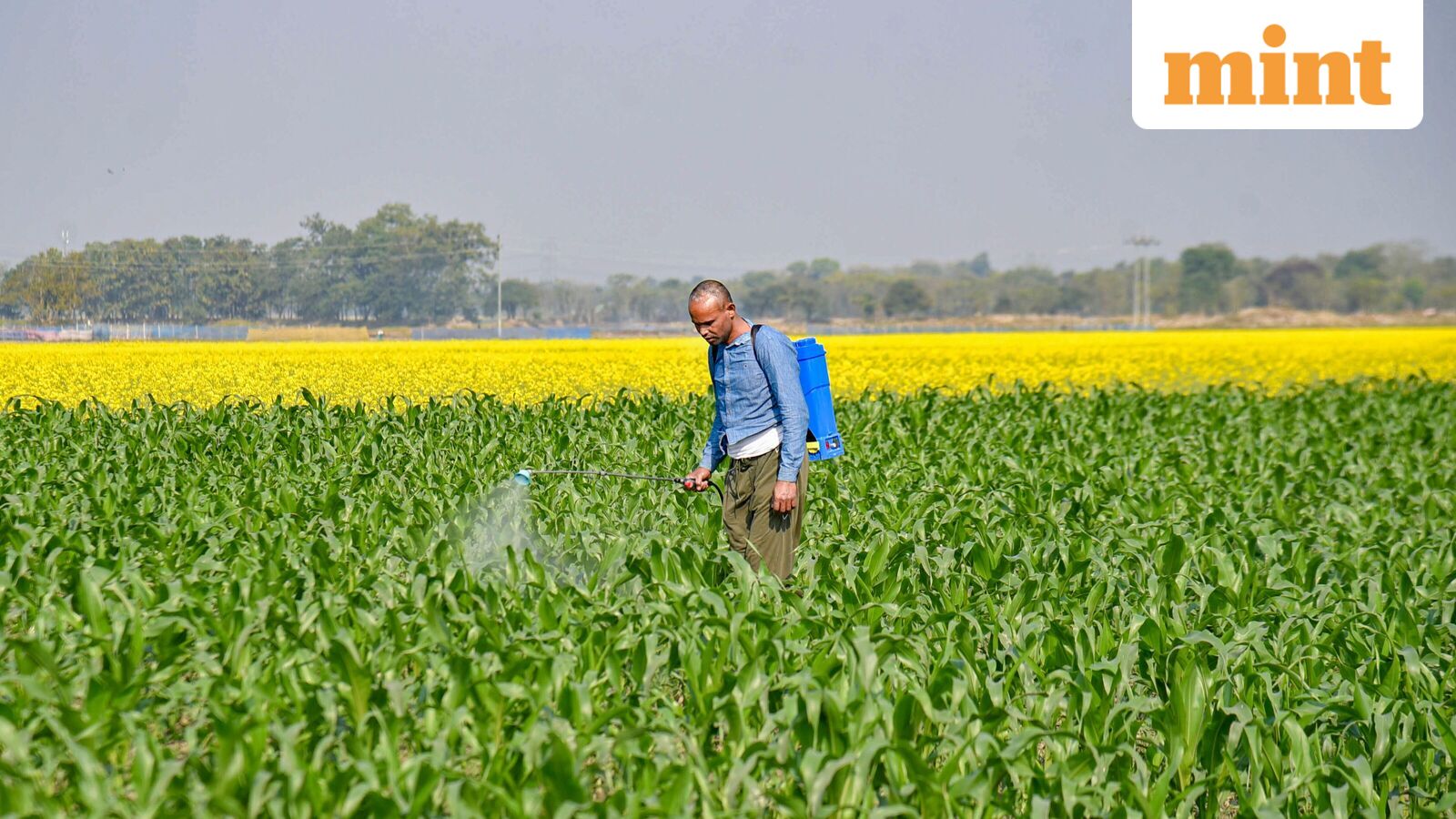 The Geopolitical Fault Lines: Reshaping Global Fertilizer Supply and India’s Agrarian Future