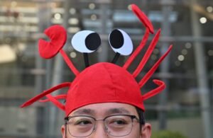 The Great Crustacean Leap: How OpenClaw is Redefining China’s Artificial Intelligence Economy.