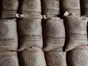 The Shifting Sands of Global Power: Copper and Cocoa Emerge as New Economic Pillars