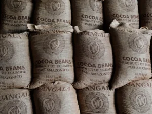 The Shifting Sands of Global Power: Copper and Cocoa Emerge as New Strategic Commodities