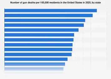 The Stark Disparities in U.S. Gun Violence: A State-by-State Economic and Social Reckoning