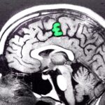 Westminster’s Fiscal Myopia: Why Britain’s Obsession with Debt Rules is Stifling Long-Term Economic Growth.