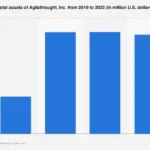 Agilethought, Inc.’s Asset Trajectory: A Deep Dive into Financial Footprint from 2019-2022
