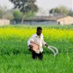 Cultivating Independence: India’s Strategic Overhaul of Urea Production to Safeguard Food and Economy