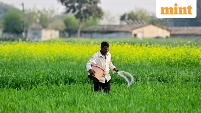 Cultivating Independence: India’s Strategic Overhaul of Urea Production to Safeguard Food and Economy