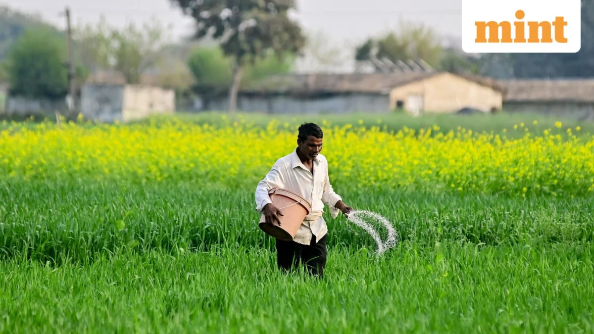 Cultivating Independence: India’s Strategic Overhaul of Urea Production to Safeguard Food and Economy