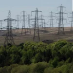 India’s Green Energy Paradox: Surging Renewables Confront Market Price Collapse, Imperiling Investment