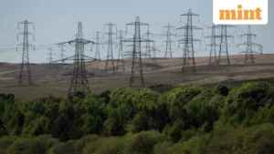 India’s Green Energy Paradox: Surging Renewables Confront Market Price Collapse, Imperiling Investment