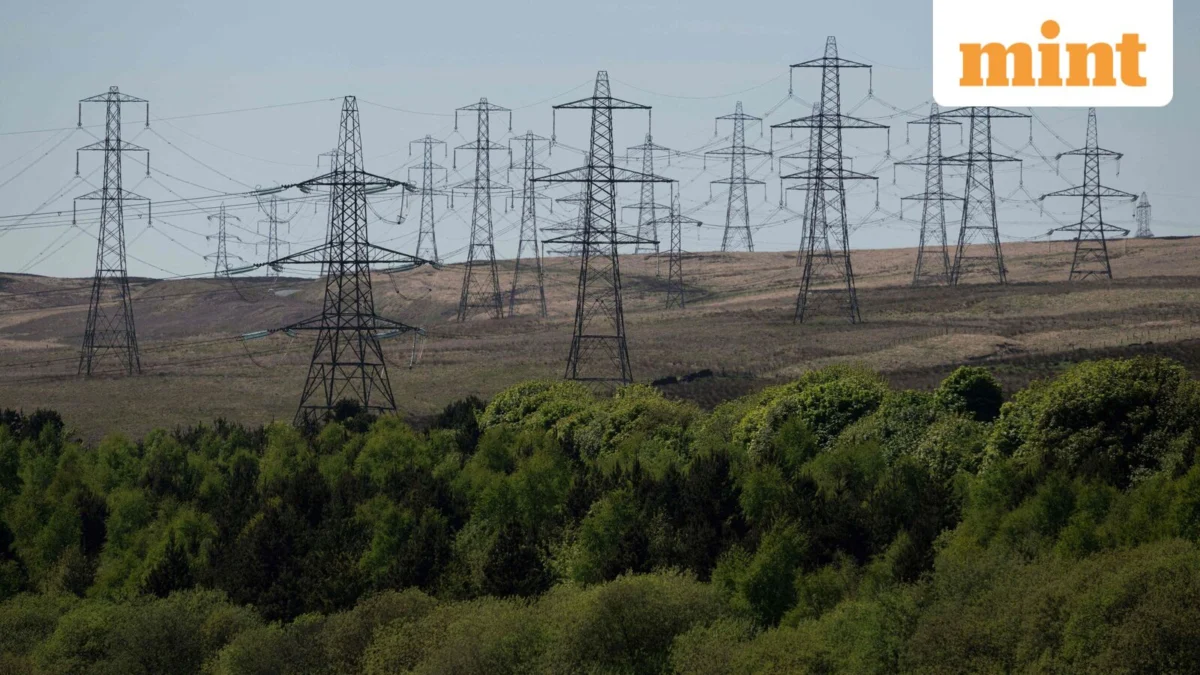 India’s Green Energy Paradox: Surging Renewables Confront Market Price Collapse, Imperiling Investment