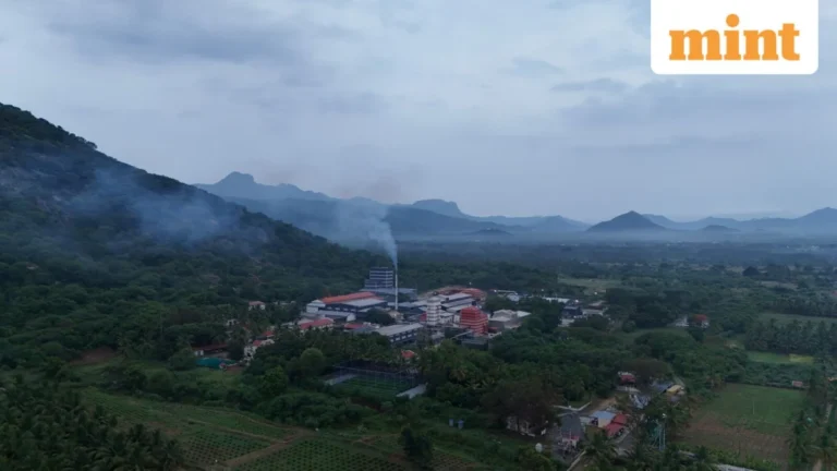 Kerala’s Quiet Giant: Synthite’s Strategic Pivot Towards a Billion-Dollar Natural Solutions Empire