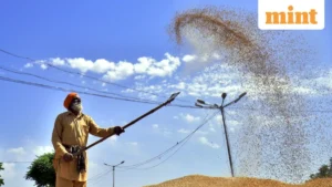 Agrarian Anomaly: India’s Kharif Acreage Lags Despite Monsoon Revival, Raising Food Security Stakes