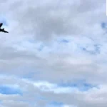 India’s Aviation Future Hinges on Autonomous Regulatory Reform as Pilot Federation Renews Urgent Call.