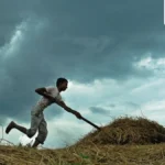 Monsoon Revival Fails to Bridge India’s Kharif Sowing Gap, Raising Economic Stakes.