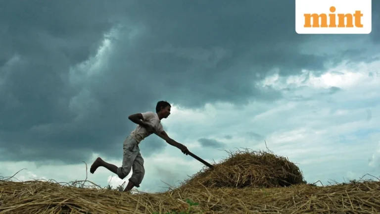 Monsoon Revival Fails to Bridge India’s Kharif Sowing Gap, Raising Economic Stakes.